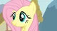 Fluttershy 