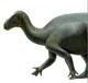 Iguanacolossus