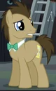 Doctor Whooves