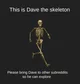 Dave the skeleton