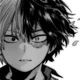 Todoroki shoto 