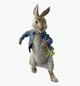 peter rabbit
