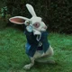 The White Rabbit 0