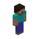 Minecraft Steve