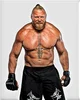 Brock Lesnar