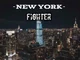 Newyork Fighter