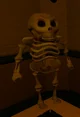 Skeleton