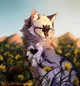 Warrior Cats RP