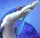 Blue Shark