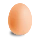 egg