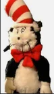 the cat  in the hat 