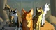 Warrior Cats RP