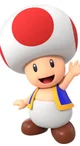 Toad