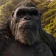 Monsterverse Kong 