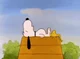 Sleeping snoopy