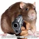 Rat With a Gun