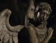 Weeping Angel