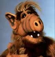 ALF
