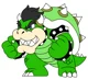 Shaun s Bowser Form
