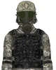 Chaos Insurgent