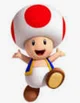 Toad