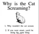 Screaming cat