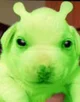 poopoo the alien pup