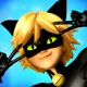 Cat noir 