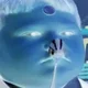 spoonkid