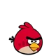 Red bird