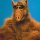 ALF