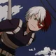 Todoroki Shoto