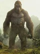 Kingkong