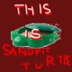 Sandpit Turtle
