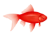 Fish 2