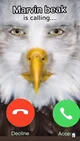 Marvin Beak