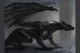 Black Dragon 