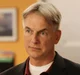 Leroy Jethro Gibbs