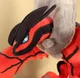 Yveltal