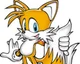 Tails the fox 