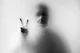 ShAdOw mAn