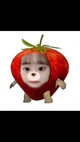 Strawberry chuu 