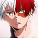 shoto todoroki 