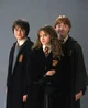 Harry Hermione Ron