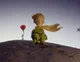 The little prince
