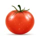 Tomate 