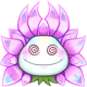 Royal Hypno flower
