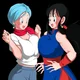 Bulma and Chi-Chi