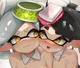 The Squid Sisters