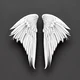 Divine Angel